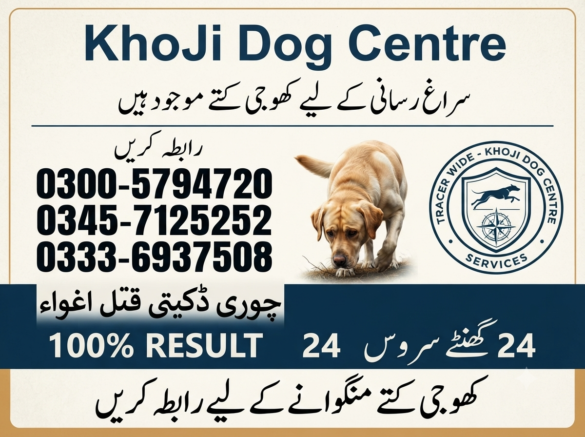 3H7u8e1TA1mANmZA2ncRcb4qeLhaiW8hvP0pVpUP.png