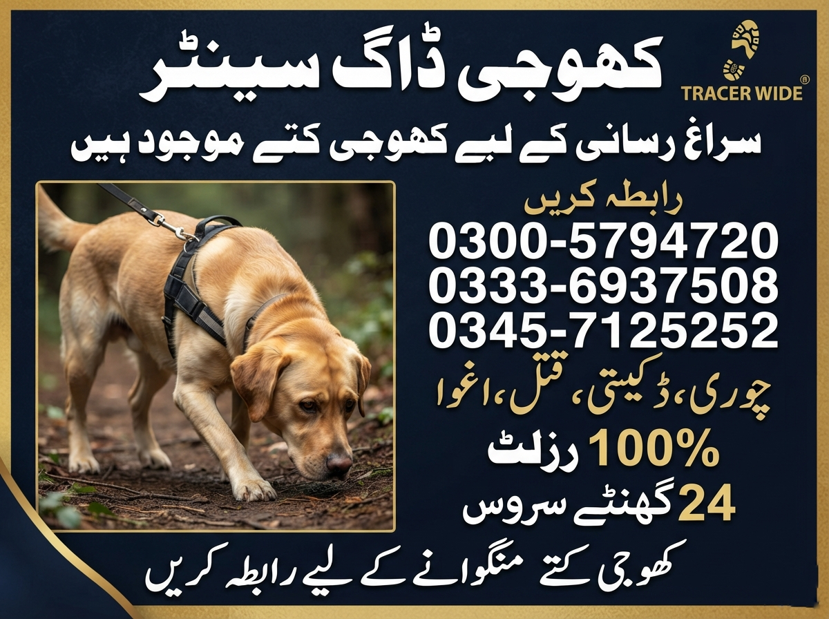 Army Dog Center Kandhkot